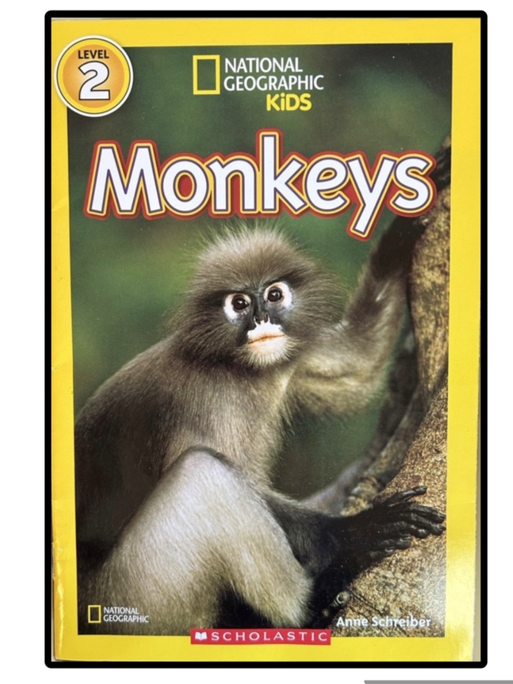 BUNDLE & SAVE🎉 National Geographic Kids Monkeys Book
